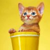 Cat Yellow Wall In Cup paint by number