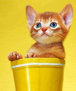 Cat Yellow Wall In Cup paint by number