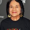 Civil Rights Activist Dolores Huerta paint by number