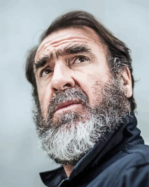 French Actor Eric Cantona paint by number