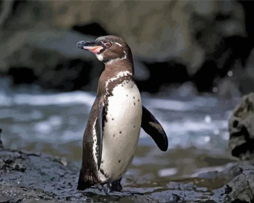 Galapagos Penguin paint by number
