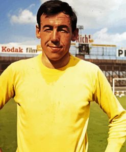 Gordon Banks Soccer Player paint by number