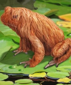 Hairy Frog paint by number