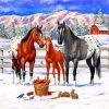 Horses Winter On The Ranch paint by number