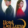 Hotel Del Luna Serie Poster paint by number