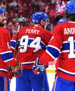 Montreal Canadiens Hockey Team paint by number