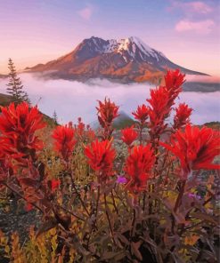 Mt St Helens With Red Poppies paint by number