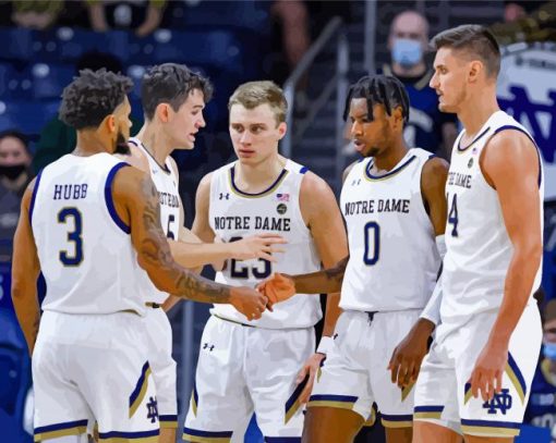 Notre Dame Fighting Irish Basketball Team paint by number