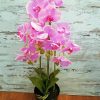 Pink Orchids In Vase Paint by number