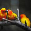 Red And Yellow Birds paint by number
