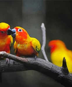 Red And Yellow Birds paint by number