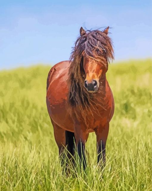 Sable Island Horse paint by number