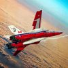 Snowbirds Military Aircraft paint by number