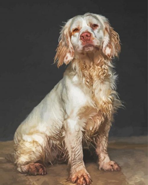 The Clumber Spaniel Dog paint by number