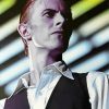 Thin White Duke paint by number