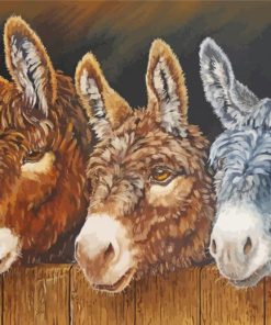 Trio Donkeys paint by number