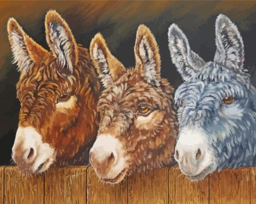 Trio Donkeys paint by number