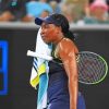 Venus Williams paint by number