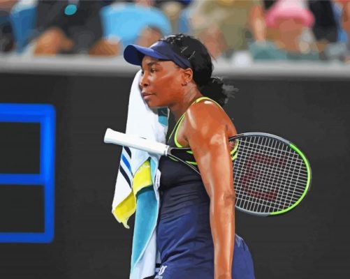 Venus Williams paint by number