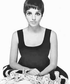 Young Liza Minnelli paint by number