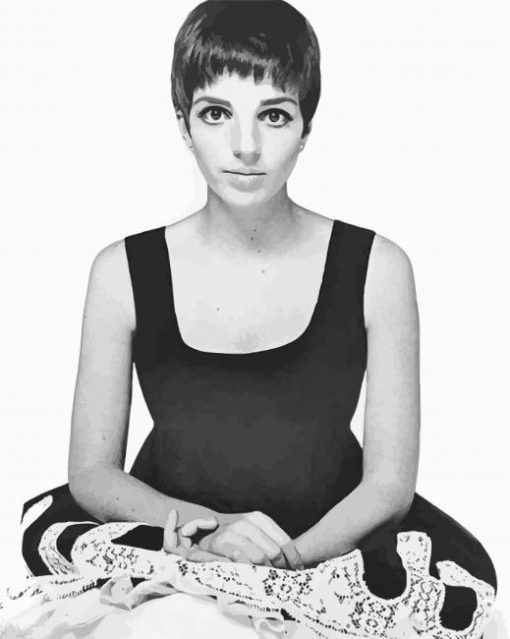 Young Liza Minnelli paint by number