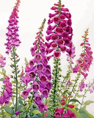 Aesthetic Foxglove paint by number