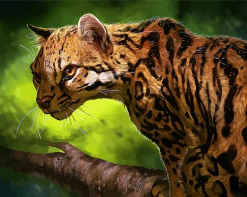 Aesthetic Ocelot Illustration paint by number