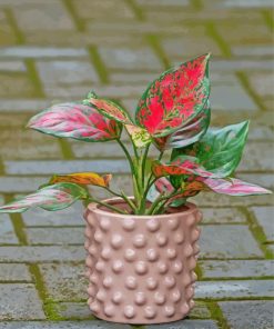 Aesthetic Pink And Green Plants In Pot paint by number