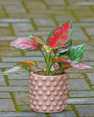 Aesthetic Pink And Green Plants In Pot paint by number