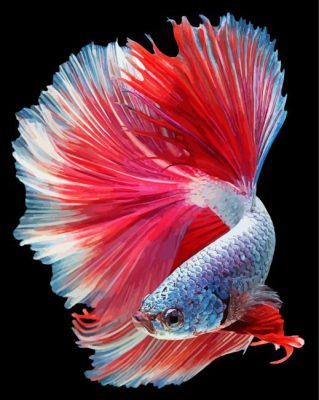 Beautiful Elegant Fish paint by number