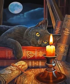 Black Cat And Candle At Night paint by number