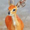 Close Up Steenbok paint by number