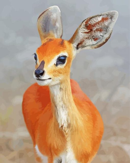 Close Up Steenbok paint by number