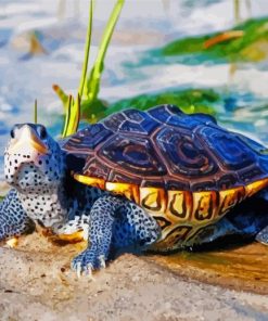 Cute Terrapin Turtle paint by number