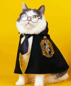 Hufflepuff Kitty paint by number
