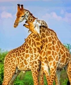 Hugging Giraffes paint by number