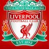 Liverpool Football Emblem Paint by number