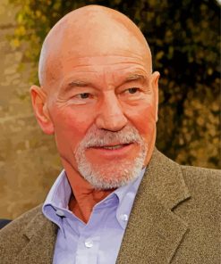 Patrick Stewart paint by number