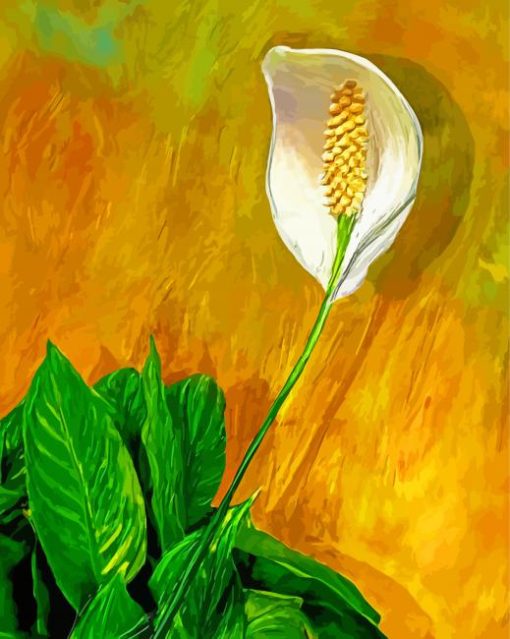 Peace Lily Art paint by number