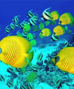 School Of Butterfly Fish Swimming paint by number