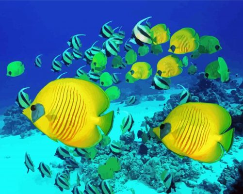 School Of Butterfly Fish Swimming paint by number