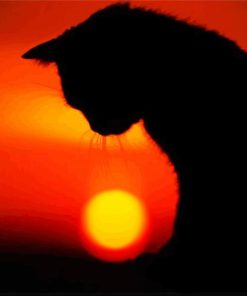 Sunset Lonely Cat Silhouette paint by number