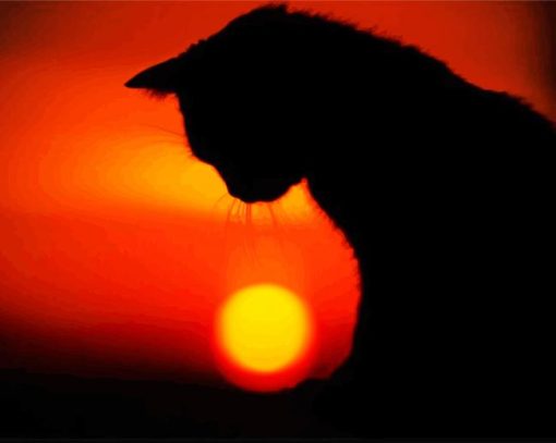 Sunset Lonely Cat Silhouette paint by number