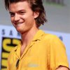 The Actor Joe Keery paint by number