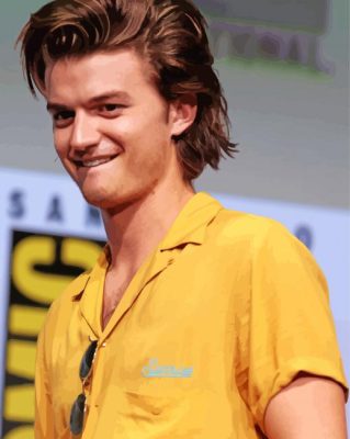 The Actor Joe Keery paint by number