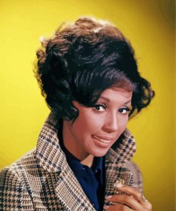 The Actress Diahann Carroll paint by number