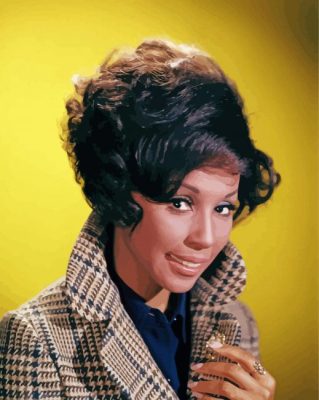 The Actress Diahann Carroll paint by number