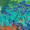 Vincent Van Gogh Les Irises Paint by number