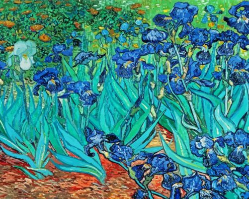 Vincent Van Gogh Les Irises Paint by number