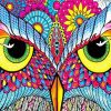 Abstract Owl Eyes paint by number